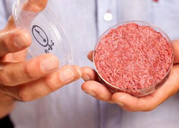 The era of ‘cultivated’ beef production has officially begun
