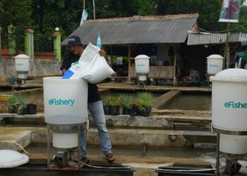 Indonesian agritech company eFishery confirms series D funding of $200 million