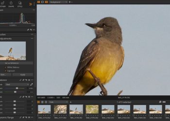 Attention photographers: Capture One is shutting down its free version!